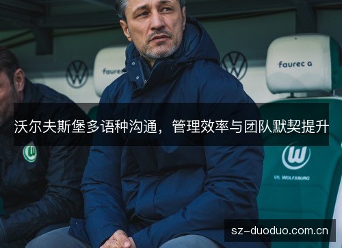 沃尔夫斯堡多语种沟通,管理效率与团队默契提升 沃尔夫斯堡多语种沟通,管理效率与团队默契提升